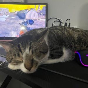 Meet your Posher, Elijah